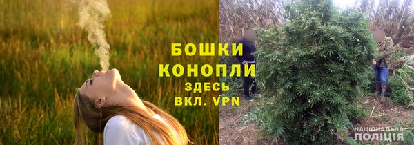амф Аркадак