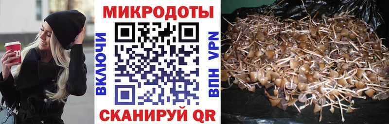 даркнет сайт  Россошь  OMG рабочий сайт  Галлюциногенные грибы Psilocybe 